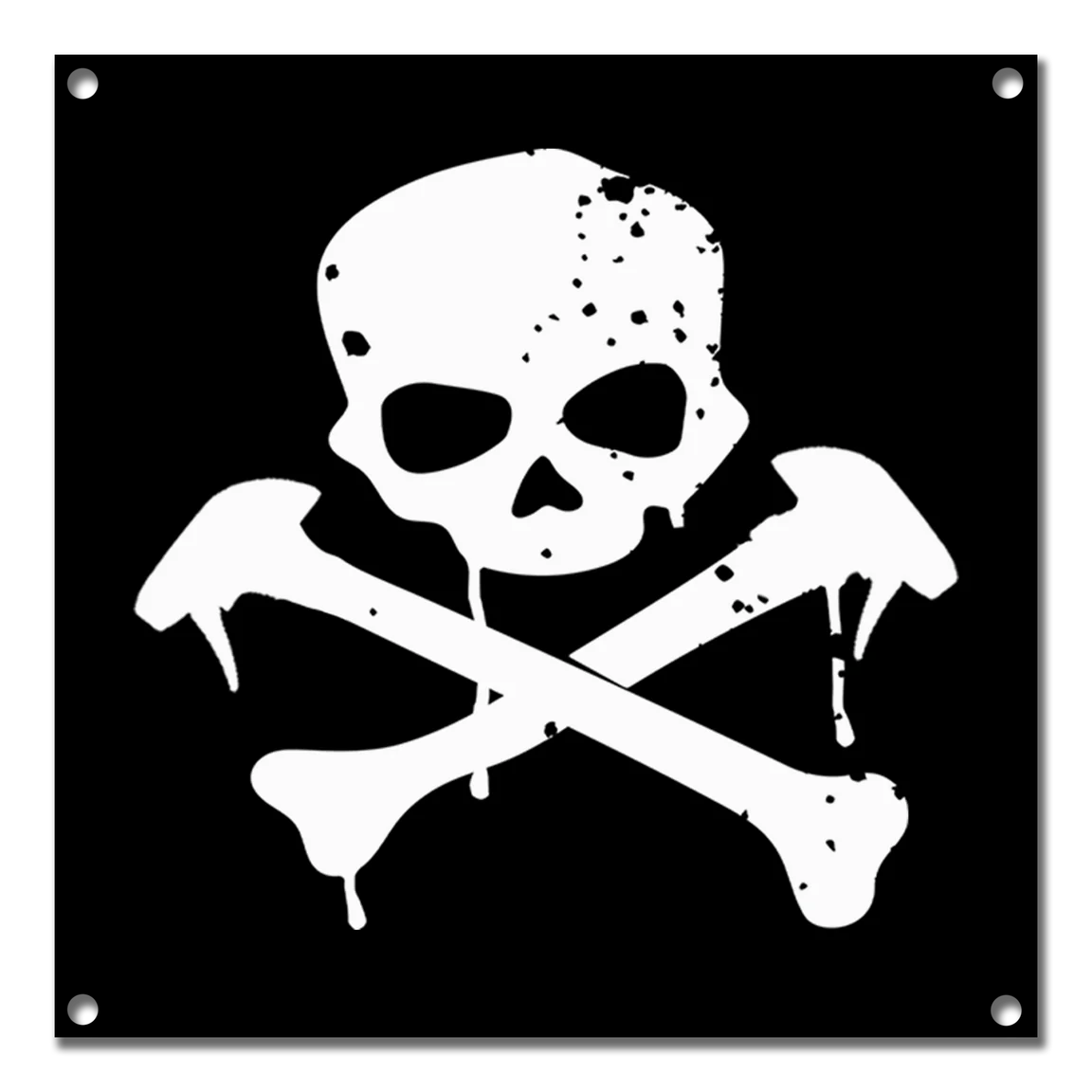 Skully Banner